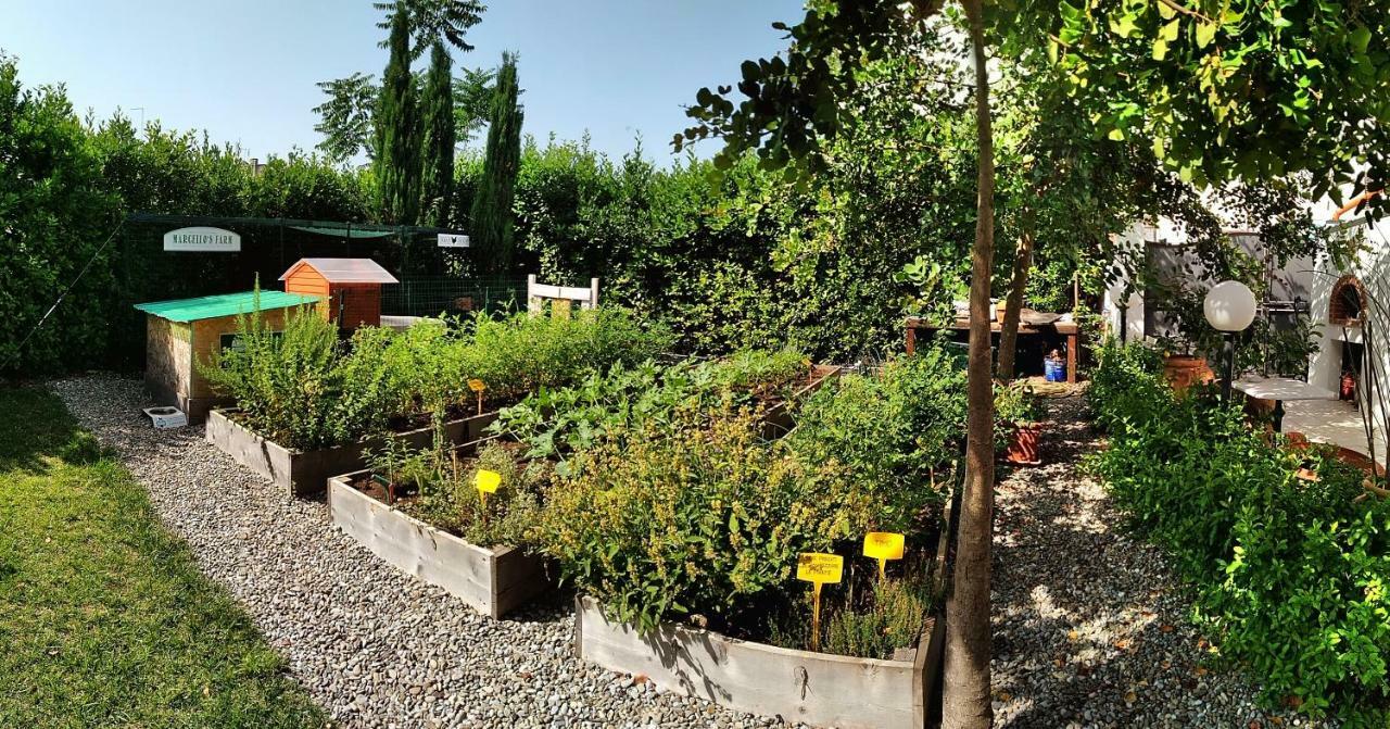 Masseria Urbana Crispiano Exteriér fotografie